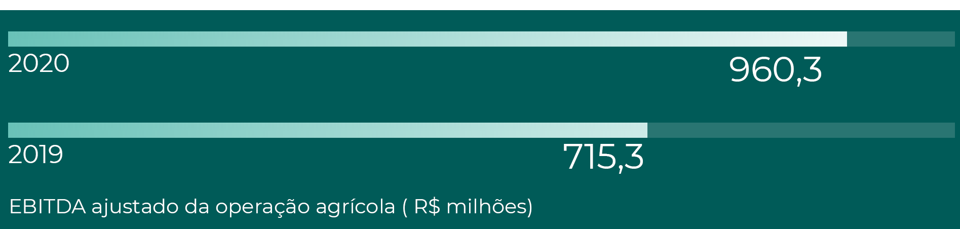 RELATÓRIO INTEGRADO DA ADMINISTRAÇÃO 2020